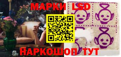 spice Новодвинск