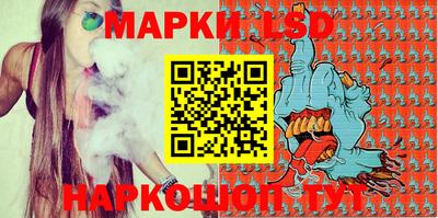 крисы Новокубанск