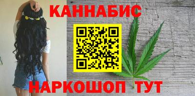 spice Новодвинск
