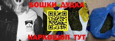 крисы Новокубанск