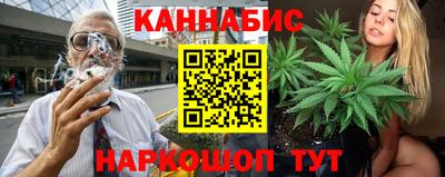 spice Новодвинск