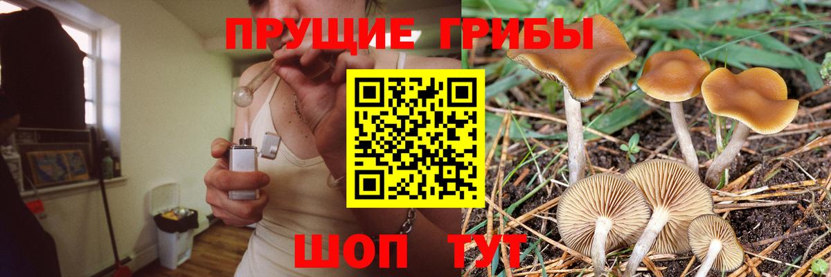 Ростов Великий  Псилоцибиновые грибы ЛСД  Вход с VPN 